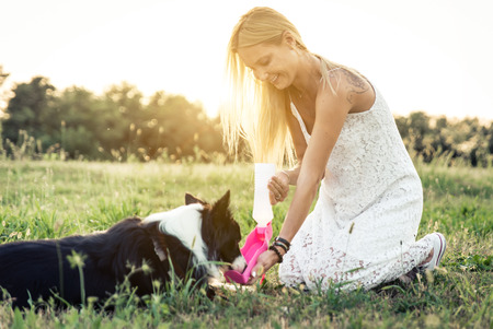 Beautiful blonde woman playing with her loyal border collieの写真素材