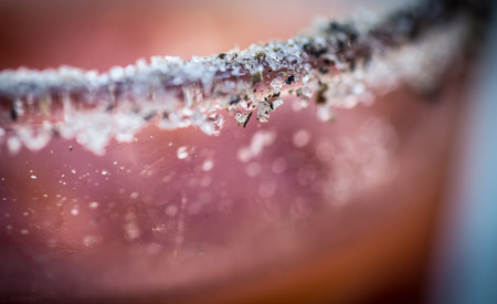 Close up on a rimmed glass of bloody mary cocktail