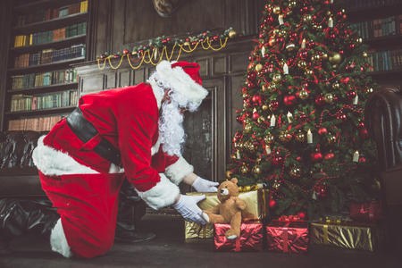 Santa claus portraits and lifestyleの写真素材