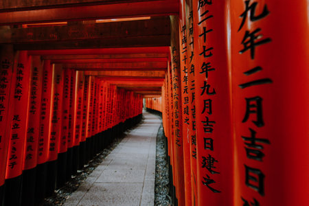 The fushimi-inari path in Kyotoのeditorial素材