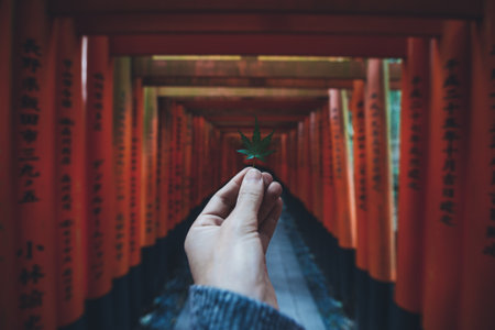 The fushimi-inari path in Kyotoのeditorial素材