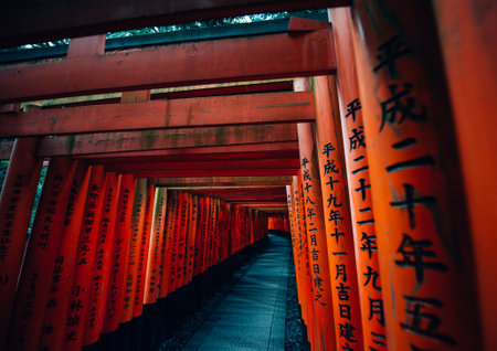 The fushimi-inari path in Kyotoのeditorial素材