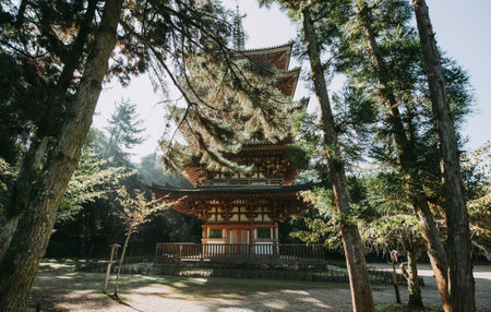 Daigoji temple in Kyoto, japanのeditorial素材