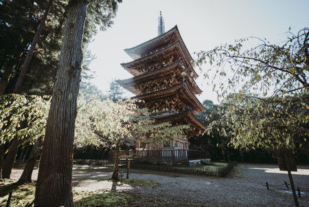 Daigoji temple in Kyoto, japanのeditorial素材