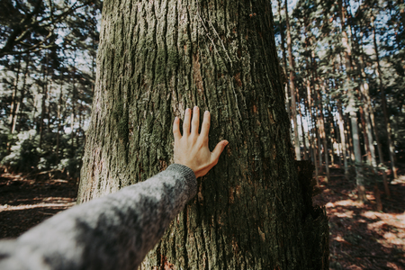 Man hugging tree barkの写真素材