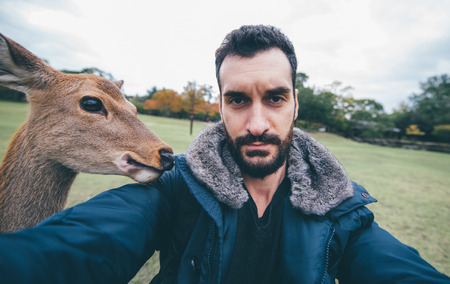 Deers and animals in Nara park, kyoto, Japan,taking selfies with animalsの写真素材
