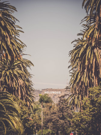 Hollywood sign with palm trees in the foreground Californiaのeditorial素材