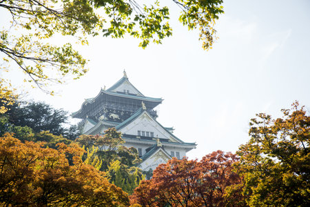 Osaka castle located in Osaka, Japan. An old castle with long history of Japanese culture.