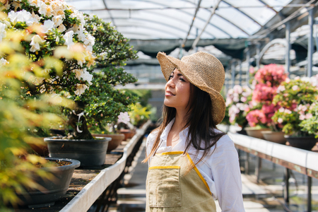 Pretty female gardener taking care of plants in her flowers and plants shop - Asian woman working in a greenhouseの写真素材