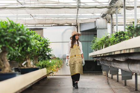 Pretty female gardener taking care of plants in her flowers and plants shop - Asian woman working in a greenhouseの写真素材