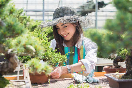 Pretty female gardener taking care of plants in her flowers and plants shop - Asian woman working in a greenhouseの写真素材