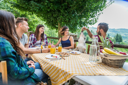 Happy cheerful  group of friends having breakfast in a farmhouse - Young people eating in the garden, concepts about healthy lifestyle and foodの写真素材