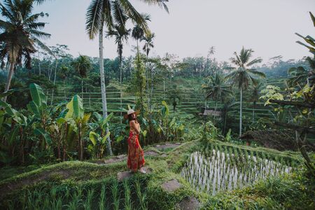 Beautiful girl visiting the Bali rice fields in tegalalang, ubud. Concept about people, wanderlust traveling and tourism lifestyleの写真素材