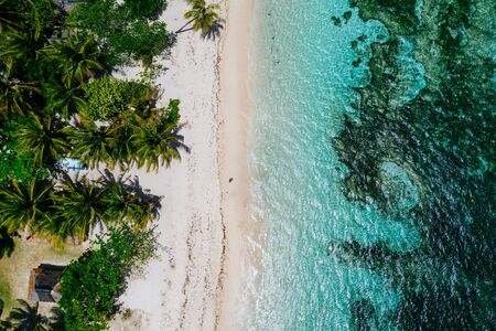 Man standing on the beach and enjoying the tropical place with a view. caribbean sea colors and palm...