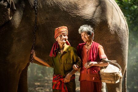 Elephant and farmers in asian countryside in Thailandの写真素材