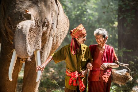 Elephant and farmers in asian countryside in Thailandの写真素材