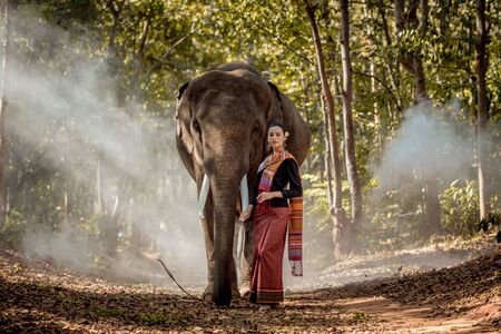 Elephant with beautiful girl in asian countryside, Thailandの写真素材