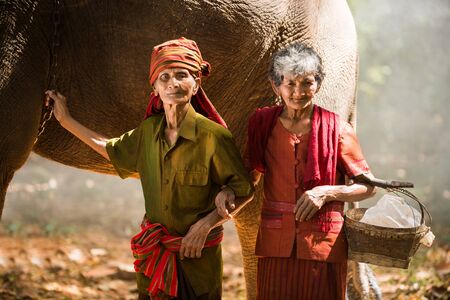 Elephant and farmers in asian countryside in Thailandの写真素材