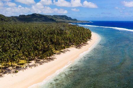 Tropical beach with blue water and palm trees
