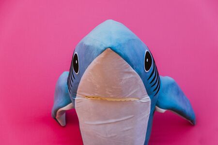 Character shark has a message for humanity about stop shark fishing and finningの写真素材