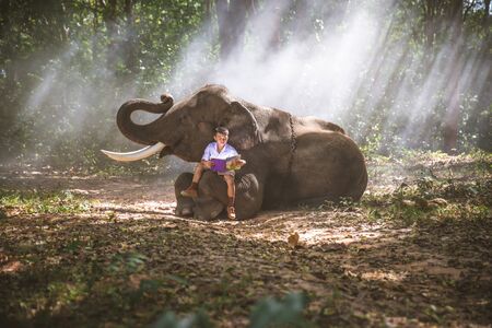 School boy playing in the jungle with his friend elephantの写真素材