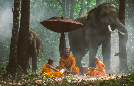 Thai monks walking in the jungle with elephantsの写真素材