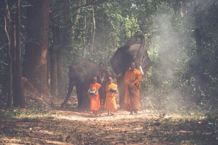 Thai monks walking in the jungle with elephantsの写真素材