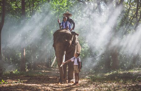 Man and childrens going in the jungle with the elephant, lifestyle moments from northern Thailandの写真素材