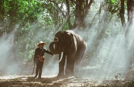 Man and his elephant in northern thailandの写真素材