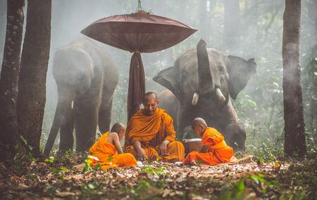 Thai monks studying in the jungle with elephantsの写真素材