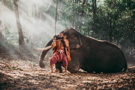 thai shepherds in the jungle with  elephants. Historic lifestyle moments from thailand cultureの写真素材