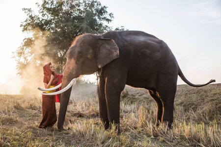 Beautiful thai woman spending time with the elephant in the jungleの写真素材