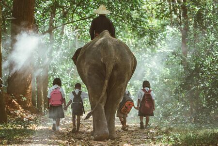 Man and childrens going in the jungle with the elephant, lifestyle moments from northern Thailand