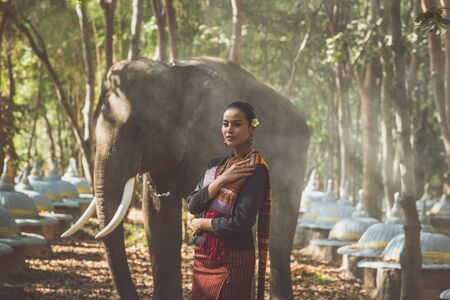 Beautiful thai woman spending time with the elephant in the jungleの写真素材