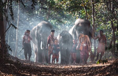 Man and childrens going in the jungle with the elephant, lifestyle moments from northern Thailandの写真素材