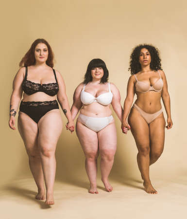Group of 3 oversize women posing in studio - Beautiful girls accepting body imperfection, beauty shots in studio - Concepts about body acceptance, body positivity and diversityの写真素材