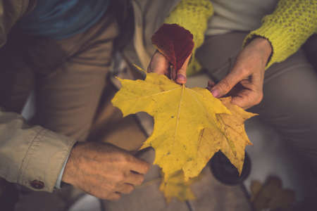 Senior couple celebrating their marriage anniversary. Collecting autumn leafs in the gardenの写真素材