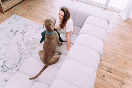 lifestyle moments of a young woman at home. Woman playing with her dog in the living roomの写真素材