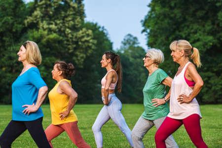 Multiethnic group of senior women training at park with fitness instructor - Active elderly people doing sport in the natureの写真素材