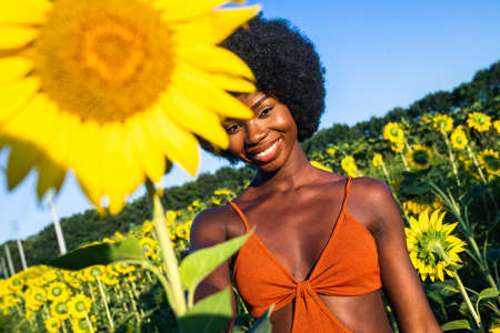 Beautiful afro-american woman with curly afro style hair in a sunflowers fieldの写真素材