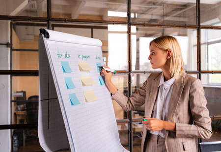 Beautiful young businesswoman with elegant formal dress working in a company