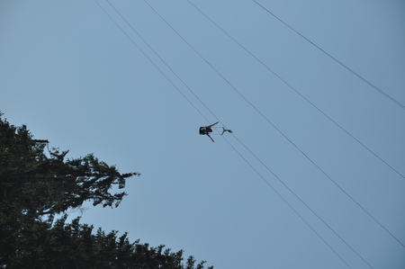 Rear view of young man riding on zip line against blue skyの写真素材