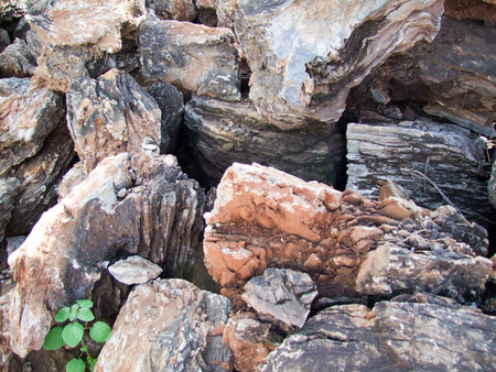 Pile of stones and plantの写真素材