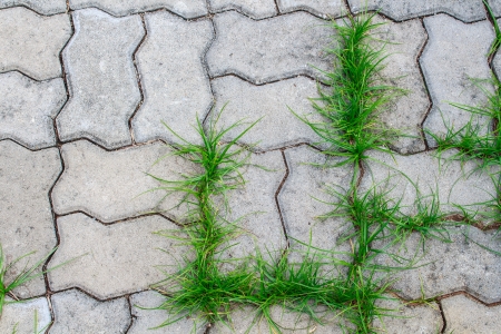Grey floor concrete stones for backgroundの写真素材