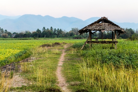 A small hut in thai farmの写真素材