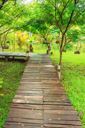 Wooden pathway in beautiful gardenの写真素材