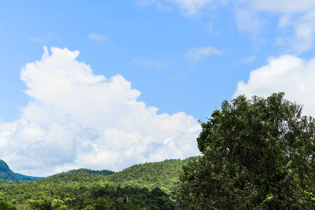 In the image has the sky tree and the mountainの写真素材