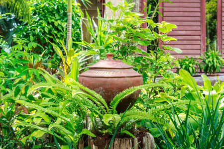 Handcraft pot for decoration gardenの写真素材