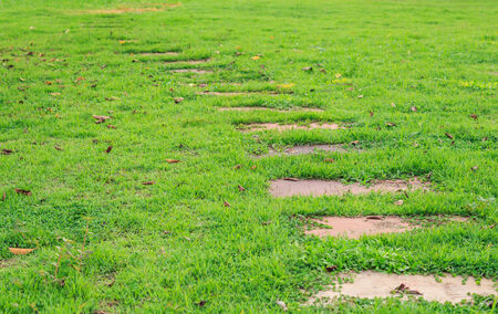Stone pathway in the parkの写真素材