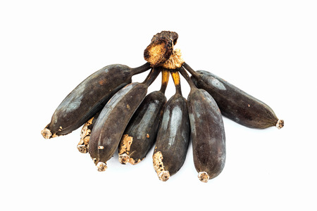 Rotten banana on white backgroundの写真素材